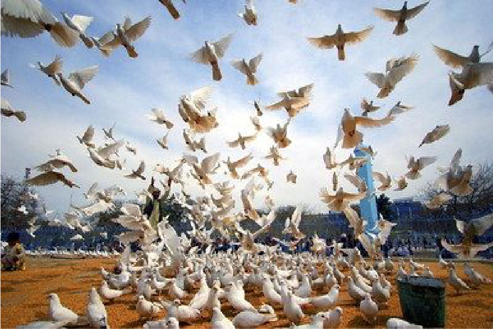 Together, we will help the world rise stronger