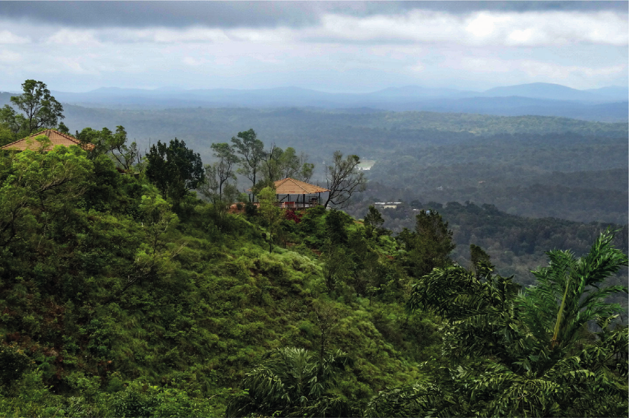 Celebrate International Forest Day