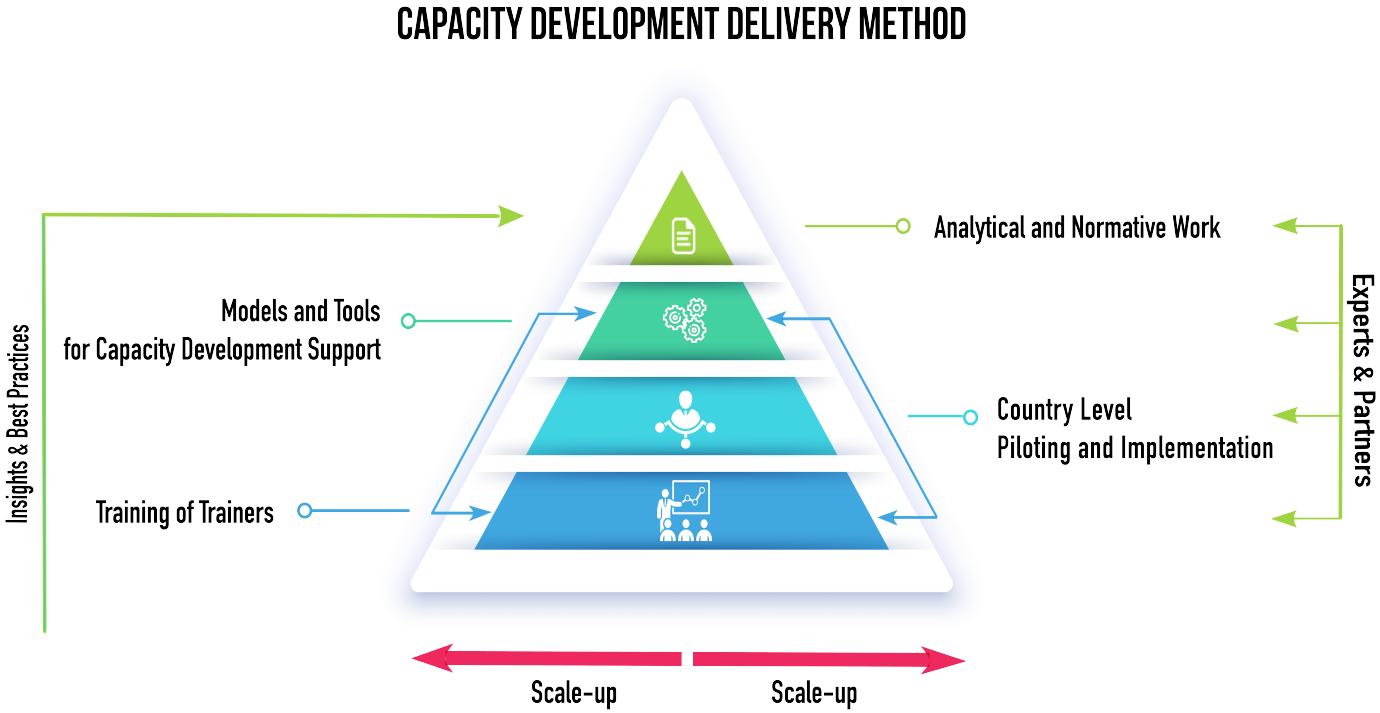 Capacity Development Delivery Model